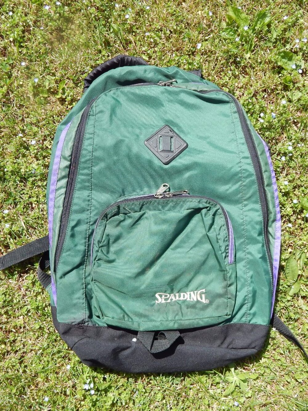 Spalding Teardrop Daypack 18x13.5x7
